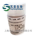 Biotin-PEG-MAL，Biotin PEG Maleimide马来酰亚胺PEG生物素