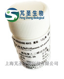 DSPE-PEG-NHS,N-二硬脂酰磷脂酰乙酰胺PEG活性酯