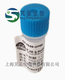 甘胆酸PEG6巯基吡啶，CG-PEG6-OPSS