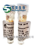 FA-PEG-NHS，Folic acid PEG NHS, 叶酸PEG活性酯