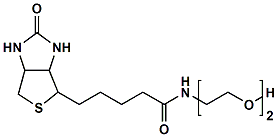 生物素二聚乙二醇羟基