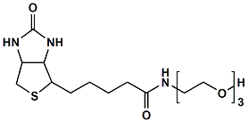 生物素三聚乙二醇羟基