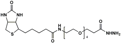 生物素四聚乙二醇酰肼