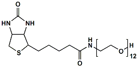 生物素十二聚乙二醇羟基