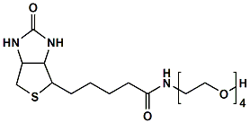 生物素四聚乙二醇羟基
