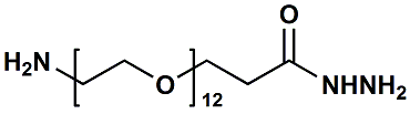 氨基十二聚乙二醇酰肼,H2N-PEG12-Hydrazide
