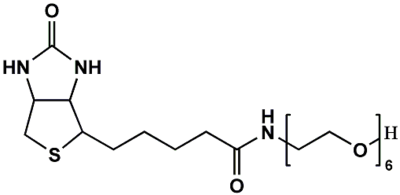 生物素六聚乙二醇羟基