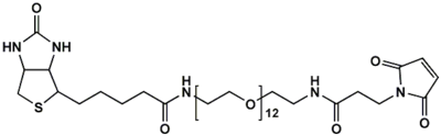生物素十二聚乙二醇马来酰亚胺