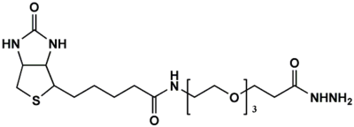 生物素三聚乙二醇酰肼