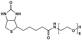 生物素八聚乙二醇羟基