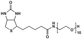 生物素十聚乙二醇羟基