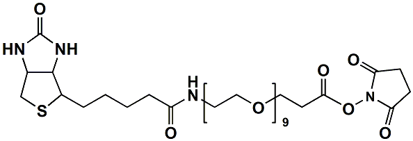 生物素九聚乙二醇活性酯